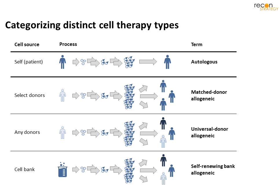 An Auto Or Allo Future For Cell Therapy Recon Strategy   Categorizing Distinct Cell Therapy Types E1661355142489 